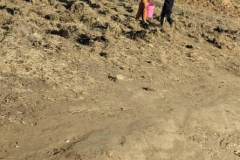 1_alle-helfen-kuhduenger